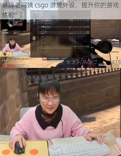 暴躁老阿姨 csgo 游戏外设，提升你的游戏体验