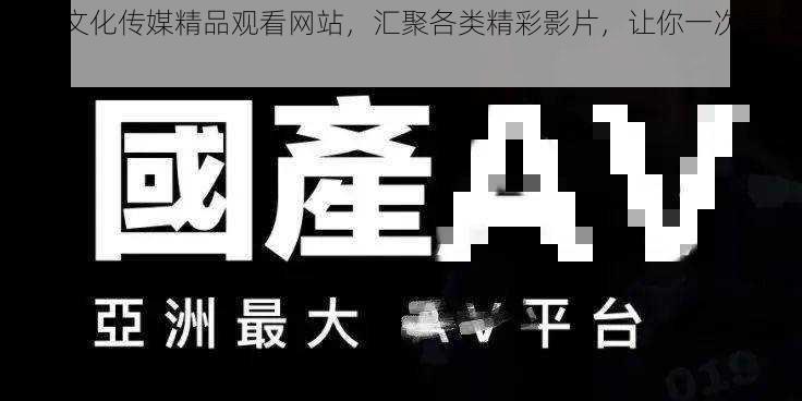 麻豆文化传媒精品观看网站，汇聚各类精彩影片，让你一次看个够