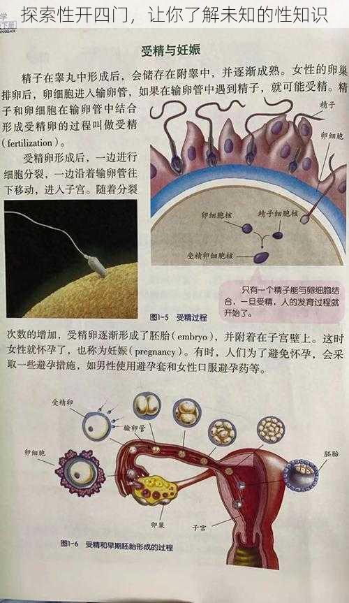 探索性开四门，让你了解未知的性知识